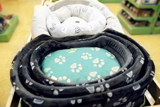 Jak uszyć siedzisko dla psa własnymi rękami?