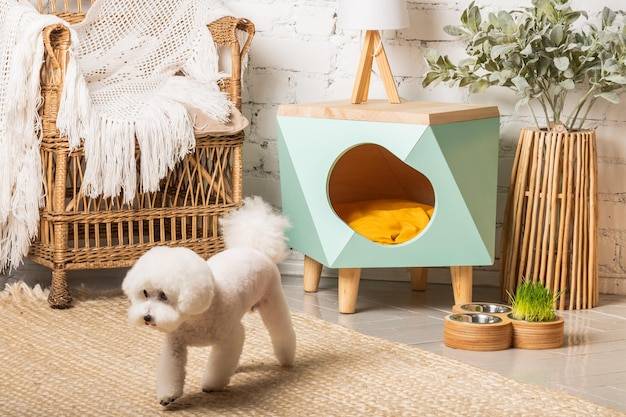 Jak zrobić leżysko dla psa z dostępnych w domu materiałów?