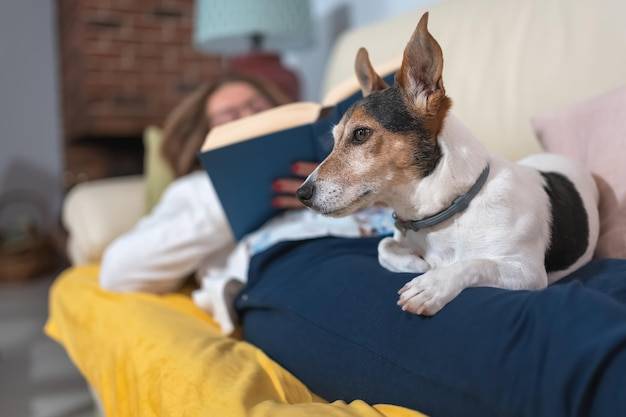 Jaką rasę psa wybrać do bloku jeśli zależy ci na spokojnym współlokatorze?