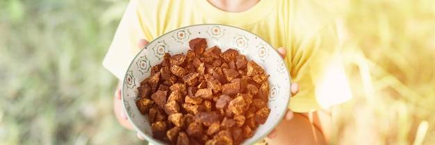 Makaron dla psa jak zrobić domowy posiłek dla pupila?