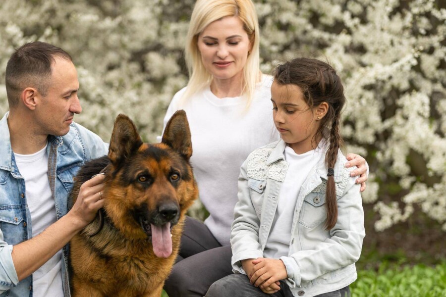 Jaka rasa psa dla rodziny z dziećmi będzie odpowiednia?