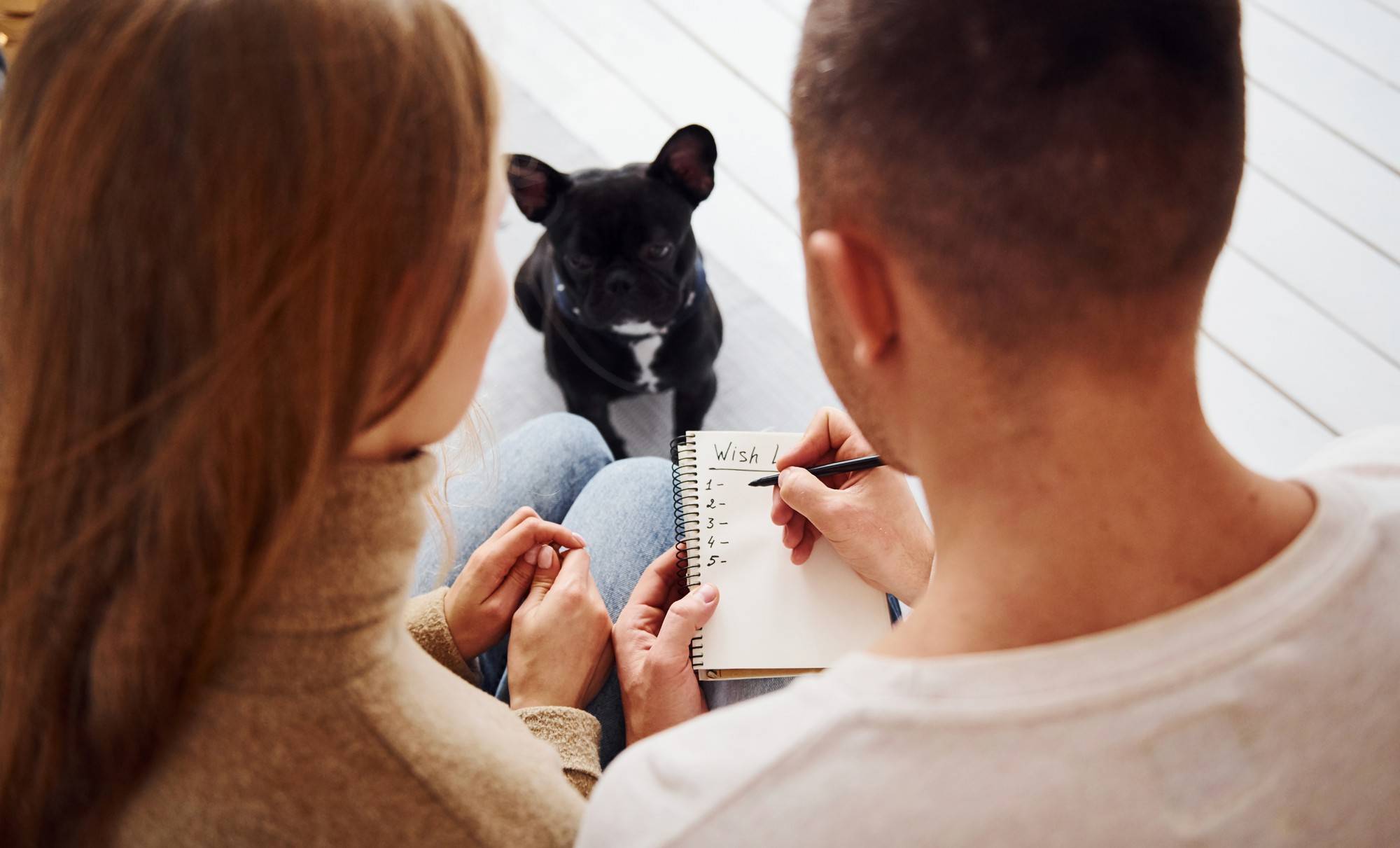 Test jaki pies dla ciebie pomoże wybrać idealnego pupila?